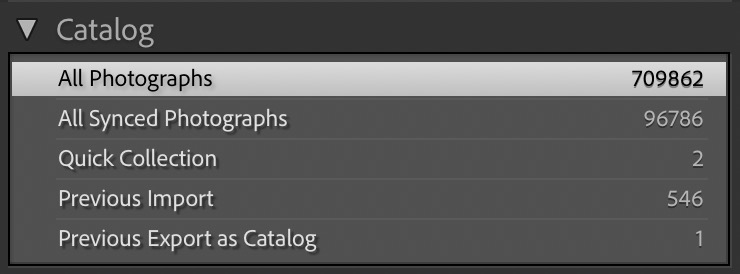 All Photographs in the Catalog panel